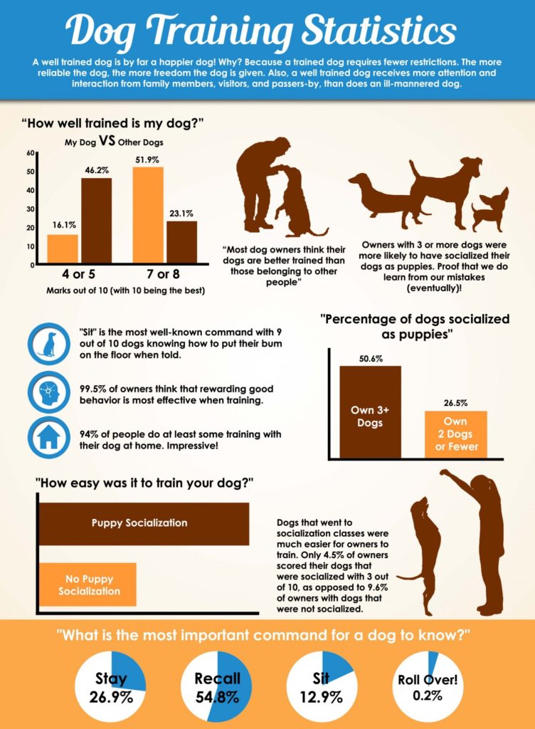 Why Obedience Training is Crucial for a Well-Behaved Dog