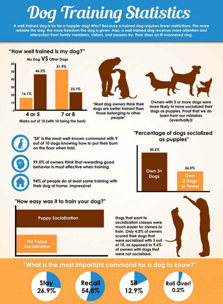 The Importance of Dog Training: Building a Strong Bond with your Four-legged Companion