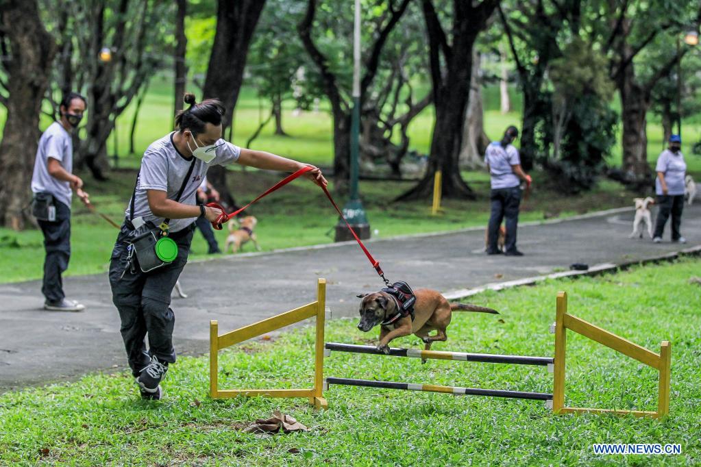 The Proven Techniques to Successfully Train Your Beloved Canine Companion