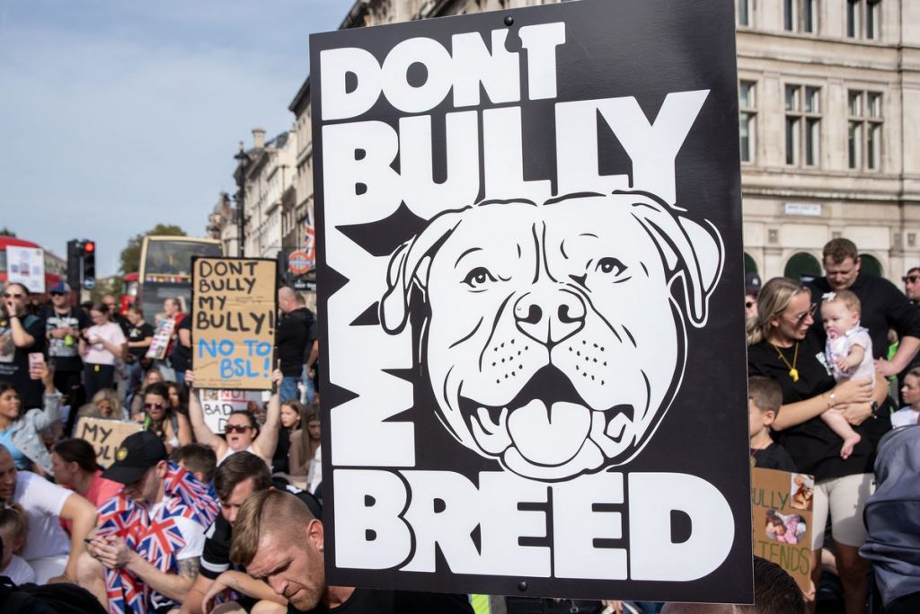 Understanding the Implications of a Banned Dog Breed: What Does It Really Signify?