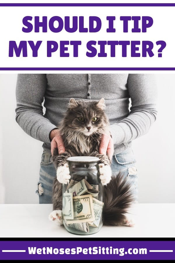 Should You Tip Your Dog Sitter? A Guide to Proper Etiquette and Considerations