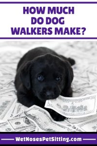 How Much Can You Earn as a Dog Walker: A Comprehensive Guide