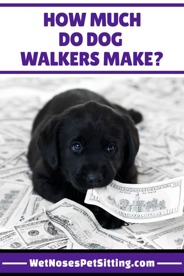 the Earnings Potential: How Much Can You Make Dog Sitting?