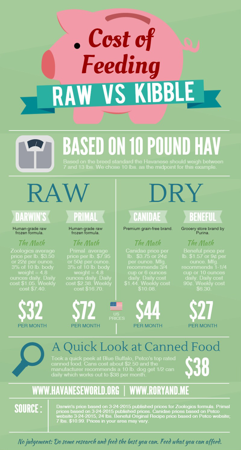 Comparing the Benefits of Homemade Dog Food versus Kibble: Which is the Healthier Choice?