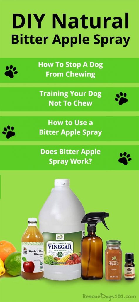 How to Discourage Dog Chewing: Effective DIY Solutions for Dog Owners