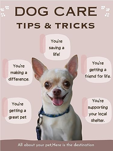 The Essential Guide to Teaching Your Dog New Tricks and Helpful Tips