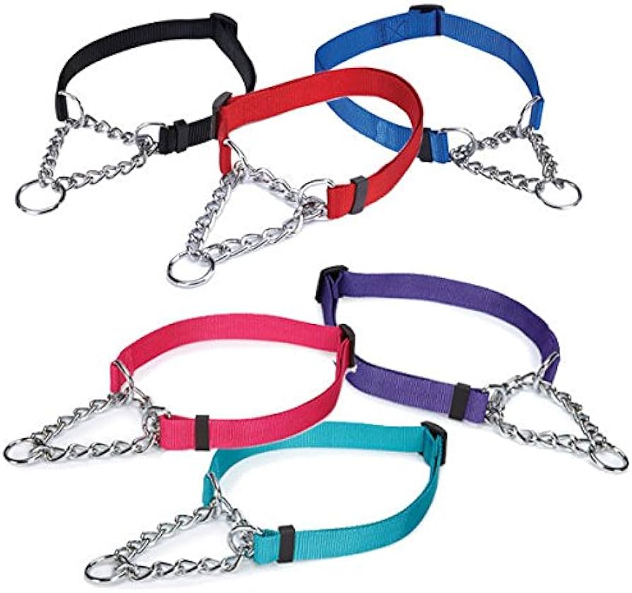 The Affordable Choice: Exploring the Most Budget-Friendly Dog Training Collar Options