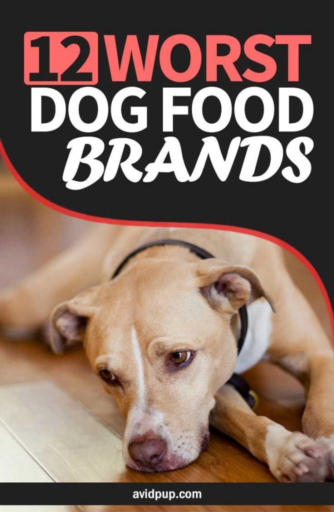 Dodging the Doggy Disappointments: Top Dog Brands to Steer Clear of