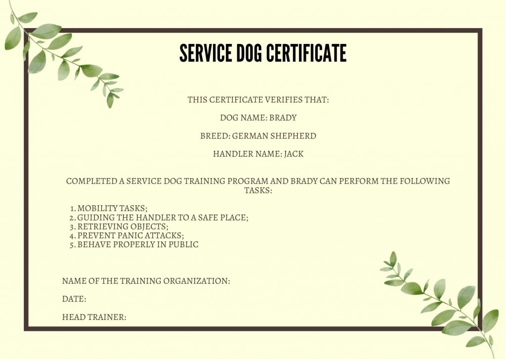 How to Obtain Guide Dog Certification: A Step-by-Step Guide for Dog Lovers