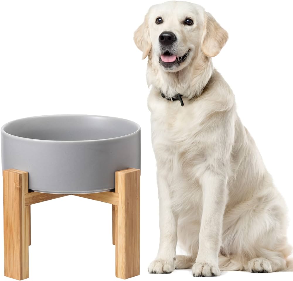 Why Do Dogs Push Their Food Bowls: Understanding their Curious Behavior