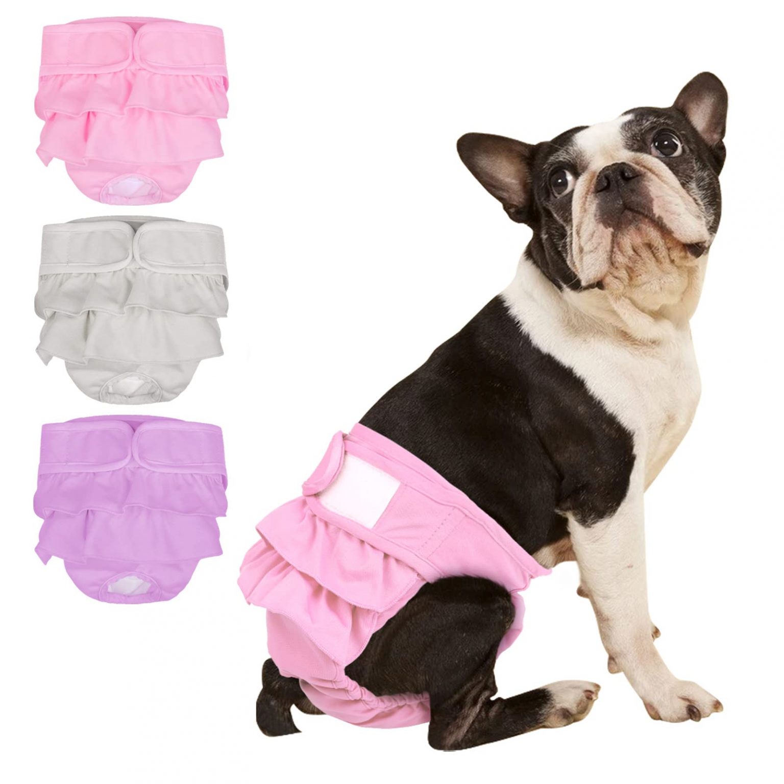 Managing Your Dog's Heat with the Help of Diapers