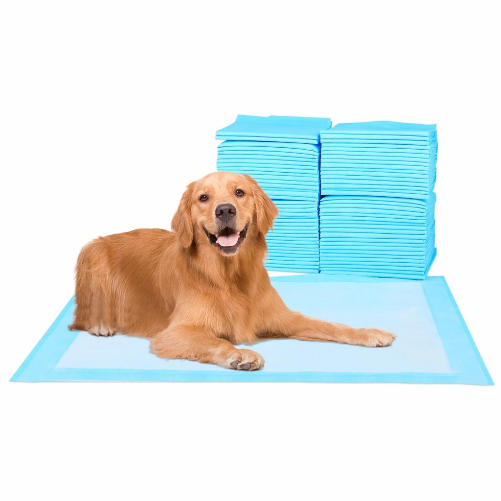 What Are Dog Training Pads and How They Can Help in Housebreaking Your Pup