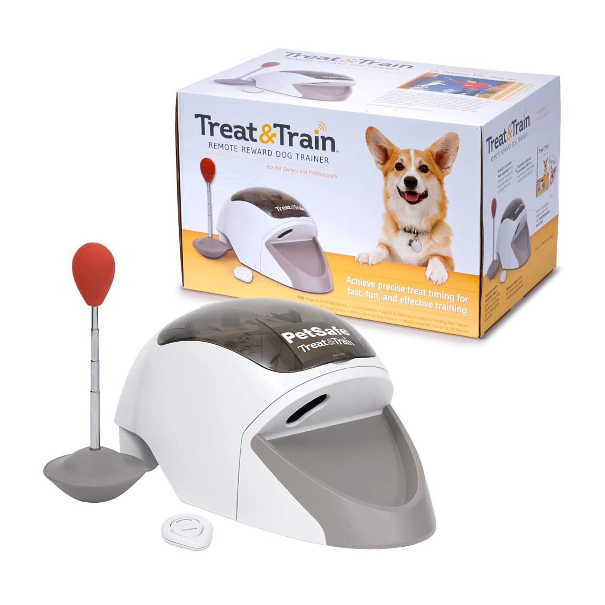 Effective Methods for Training Dogs without Relying on Treats: A Gentle and Rewarding Approach