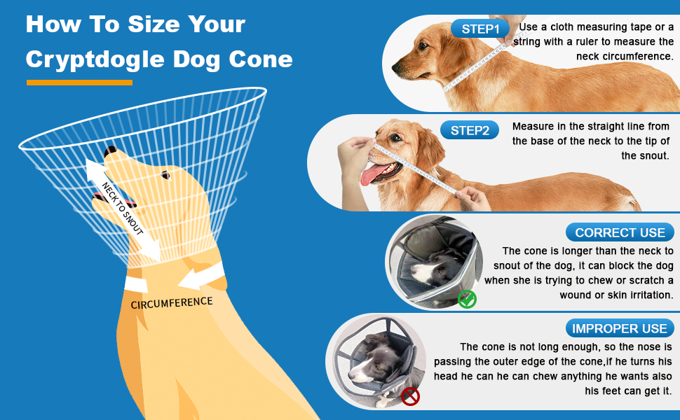 When and why should you use a cone for your dog's recovery?