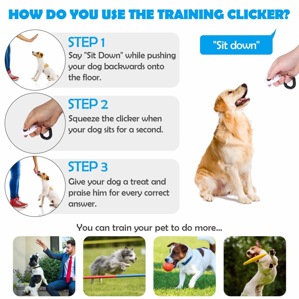 The Power of Dog Clicker Training: A Step-by-Step Guide to Effective Training Techniques