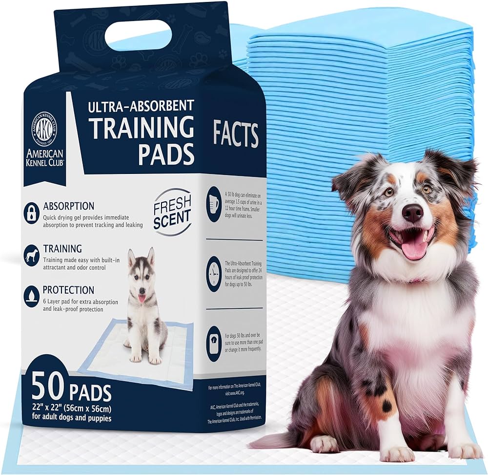 What's the Ideal Frequency for Changing Puppy Training Pads?