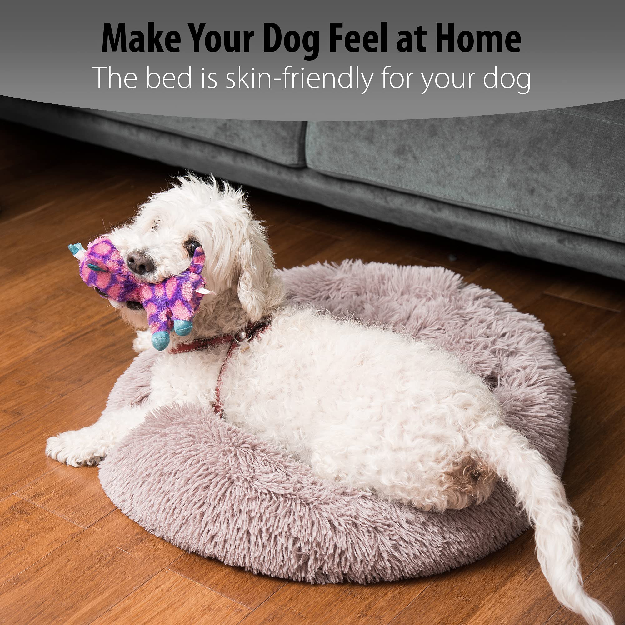 Creating a Welcoming Home for Your Dog: Simple Tips to Help Your Furry Friend Feel Comfortable