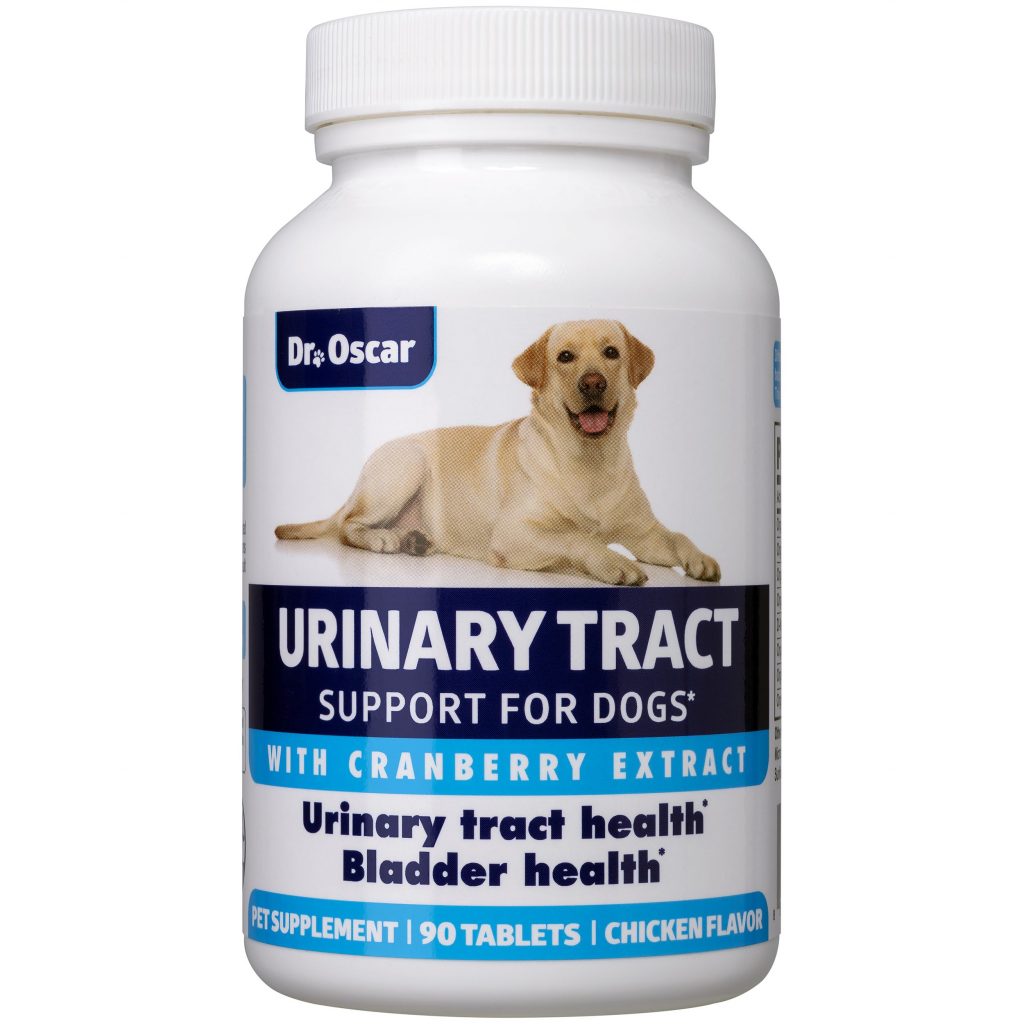 How to Safely and Naturally Treat UTI in Dogs