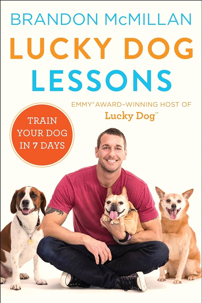 What Became of Brandon, the Lucky Dog Trainer?