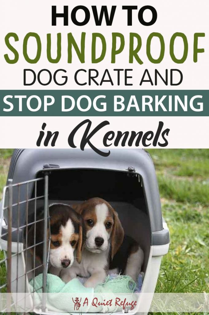 How to Effectively Control Excessive Barking in Dogs at Home