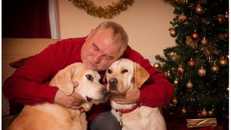 When a Guide Dog Retires: Embracing a New Chapter of Life Together