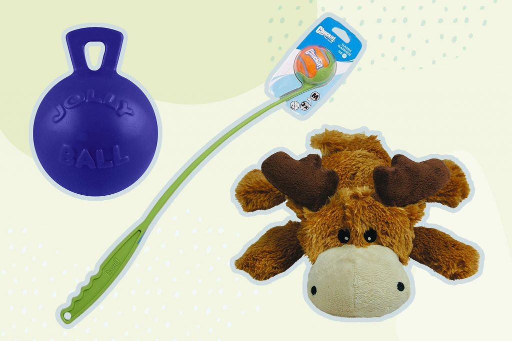 The Best Dog Toys for Happy and Playful Pups: A Guide to Keeping Your Furry Friend Entertained