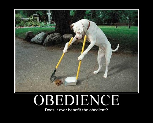 Understanding the Distinction: Obedience vs. Obedient - Knowing the Difference and Its Significance