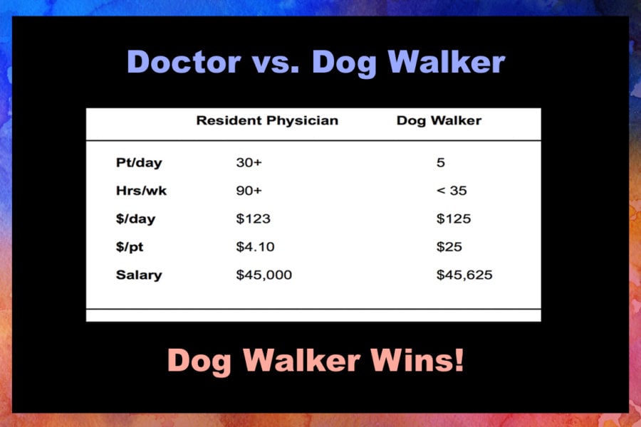 The Earnings Potential of Professional Dog Walking: Unveiling the Income Range