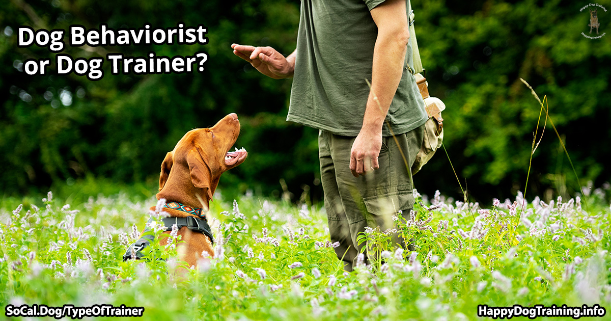 Understanding the Roles of a Dog Trainer versus a Behaviorist: Choosing the Right Professional for Your Pup's Needs