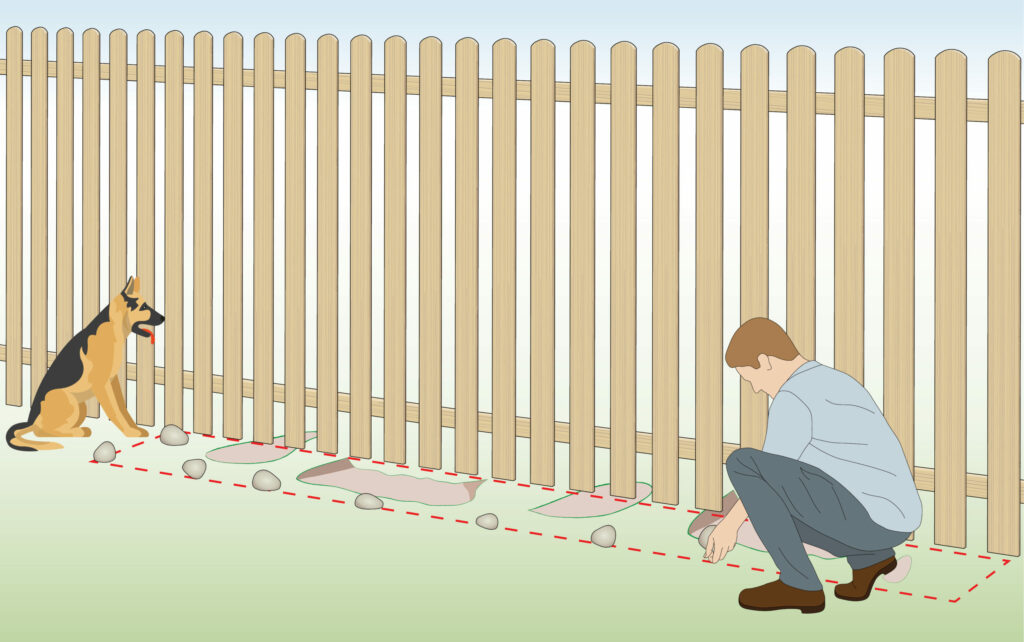 How to Create a Perfect Digging Space for Your Dog: A Practical Guide