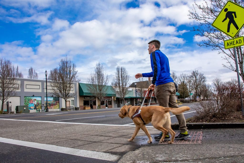 How Long Does Training a Guide Dog Typically Take?