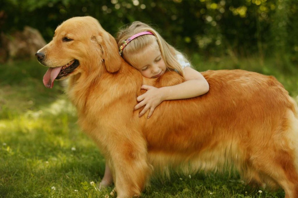 Finding the Perfect Dog Breed for Your Kids: A Guide to Choosing the Ideal Canine Companion