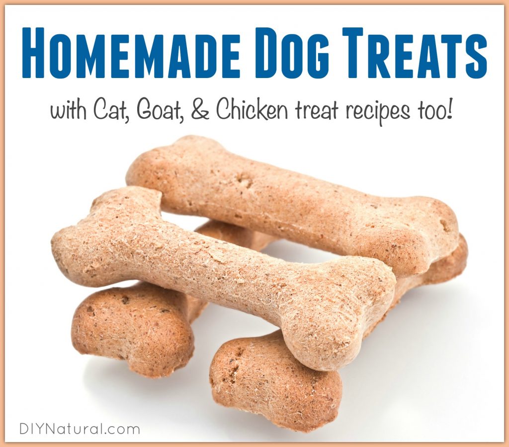 Wholesome Homemade Delights: Easy DIY Dog and Cat Treat Recipes for Your Furry Friends