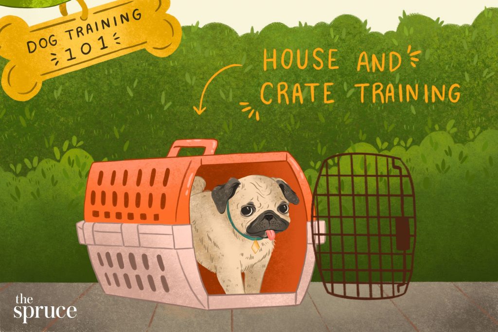 Is Sending Your Dog Away for Training Worth It? A Comprehensive Guide for Dog Owners