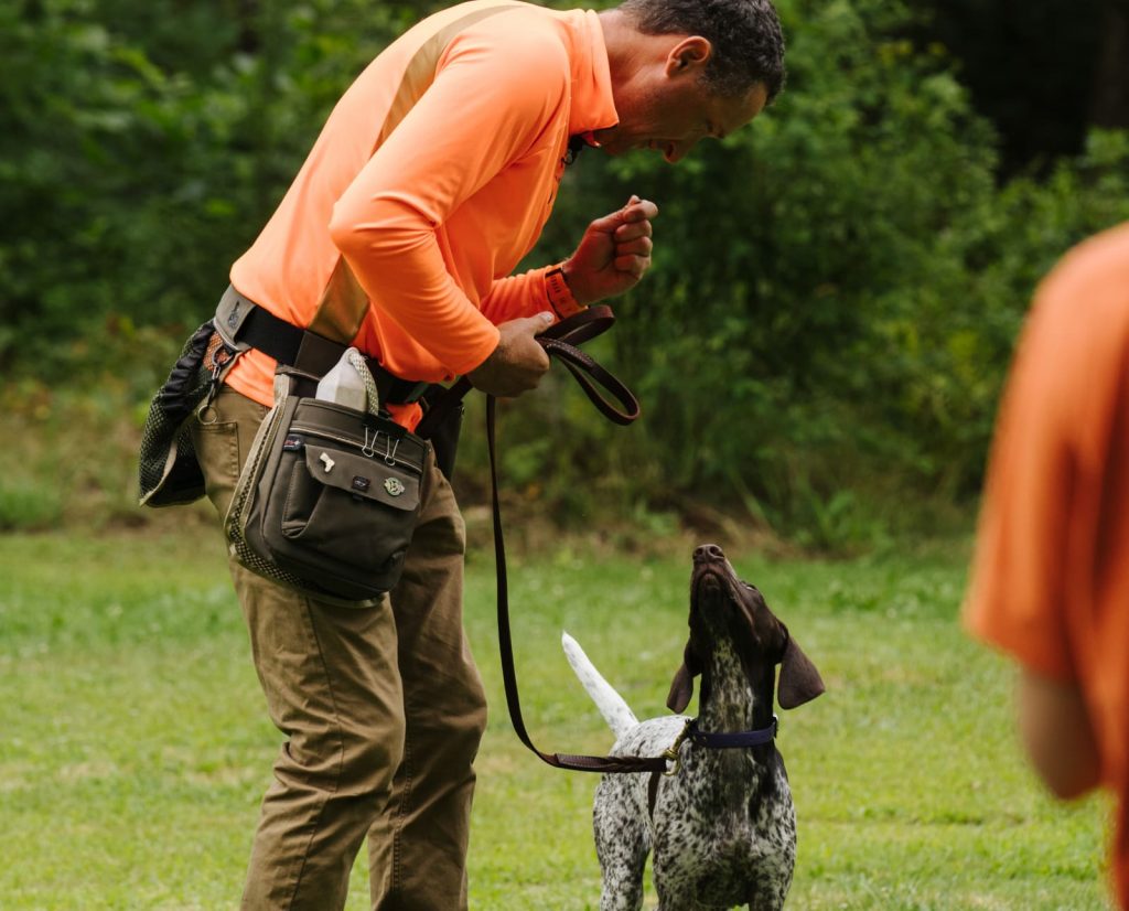 What Kinds of Treats Do Professional Dog Trainers Prefer?