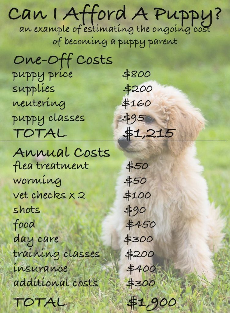 How Much Does Professional Dog Training Cost: A Comprehensive Guide for Pet Owners