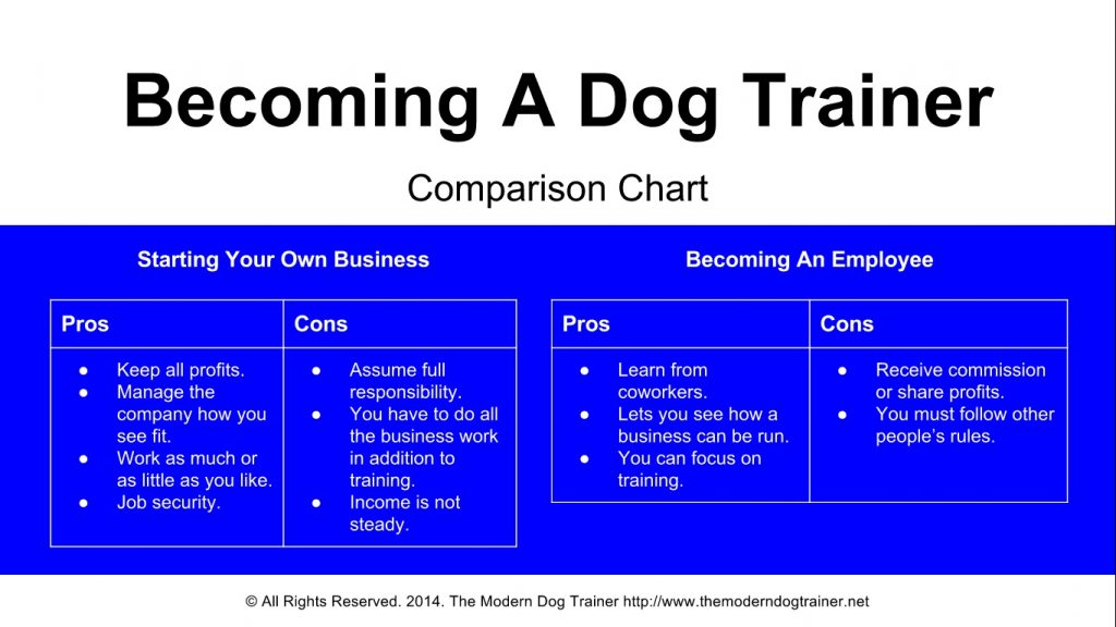 Starting Your Own Successful Dog Training Business: A Step-by-Step Guide