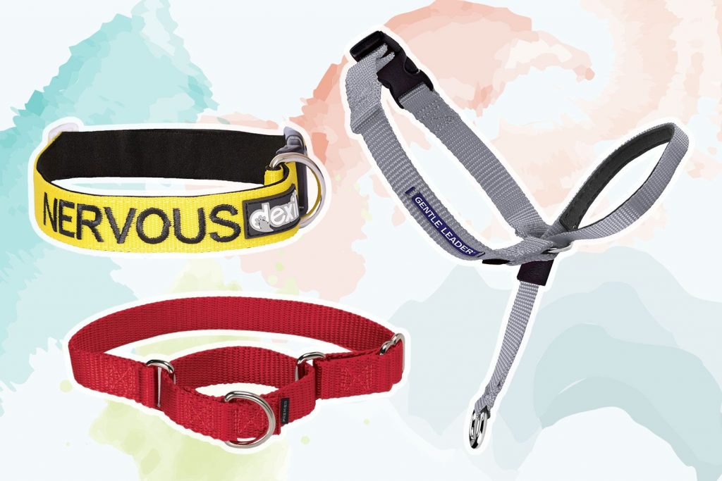 The Top Recommended Dog Training Collar for Effective Training