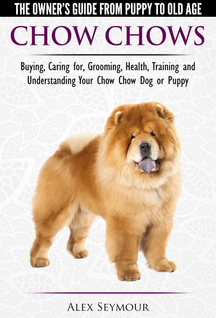 How Much Does Dog Training Cost in the Philippines: A Comprehensive Guide