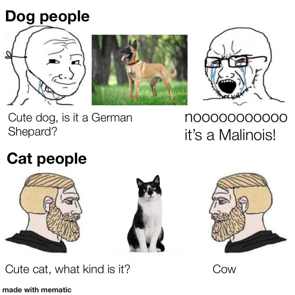 ing the Humor: Hilarious Dog Breed vs Cat Breed Memes for Your Daily Dose of Laughter