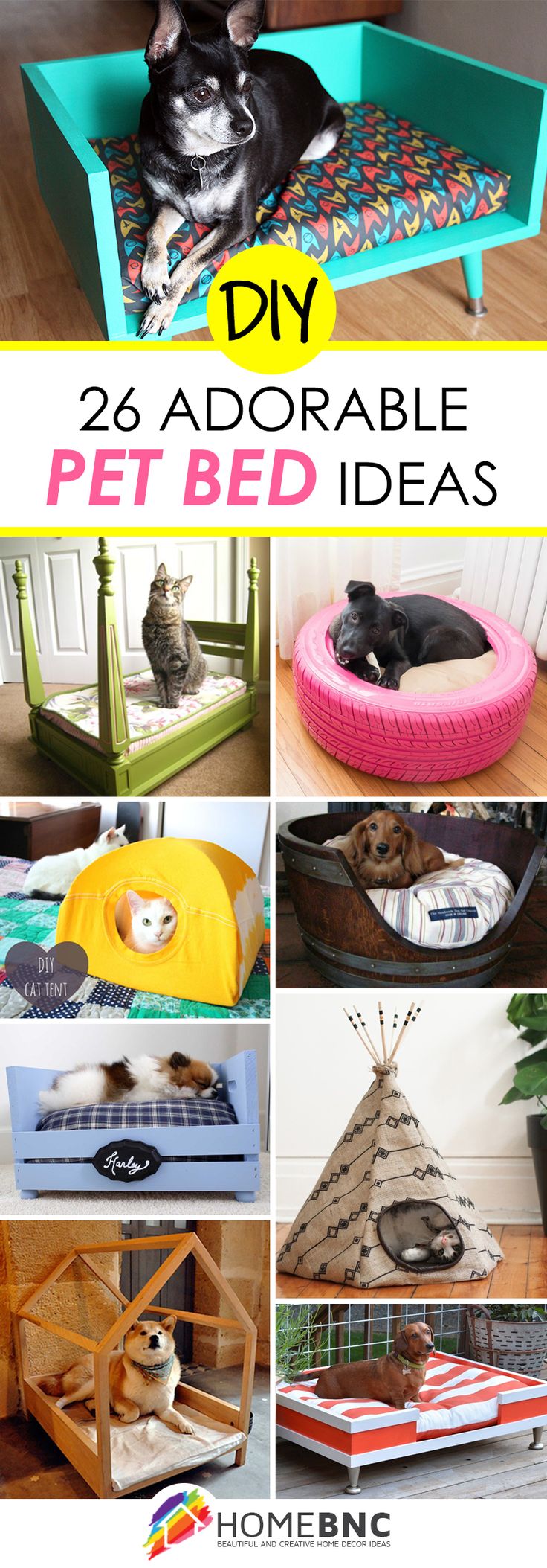 Simple and Creative DIY Pet Ideas to Enrich Your Pet's Life