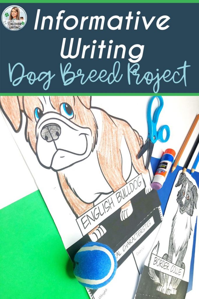 Creative Dog Breed Project Ideas to Enhance Your Canine Companion's Experience