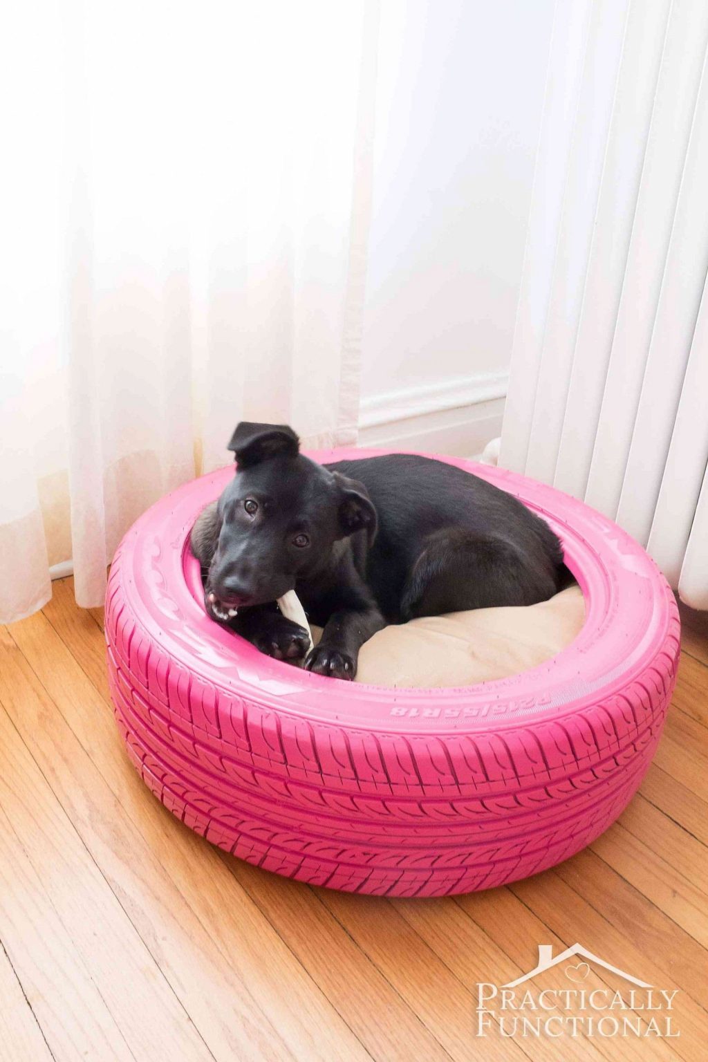 Creating a Cozy DIY Dog Bed: Simple Steps for a Comfortable Pet Haven