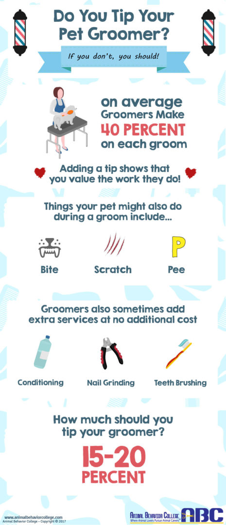 Why Tipping Dog Groomers is a Worthwhile Gesture for Their Hard Work and Dedication