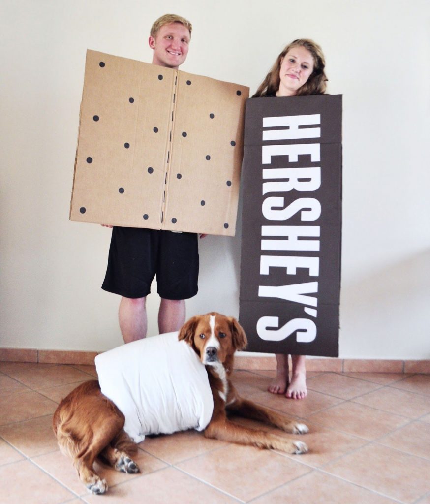 Creative Costume Ideas for Dogs and Their Owners: ing Your DIY Skills!