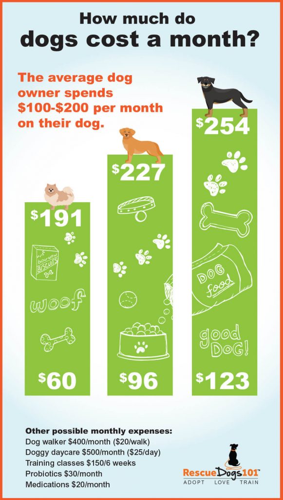 How Much Does It Cost to Take Care of a Dog Monthly?