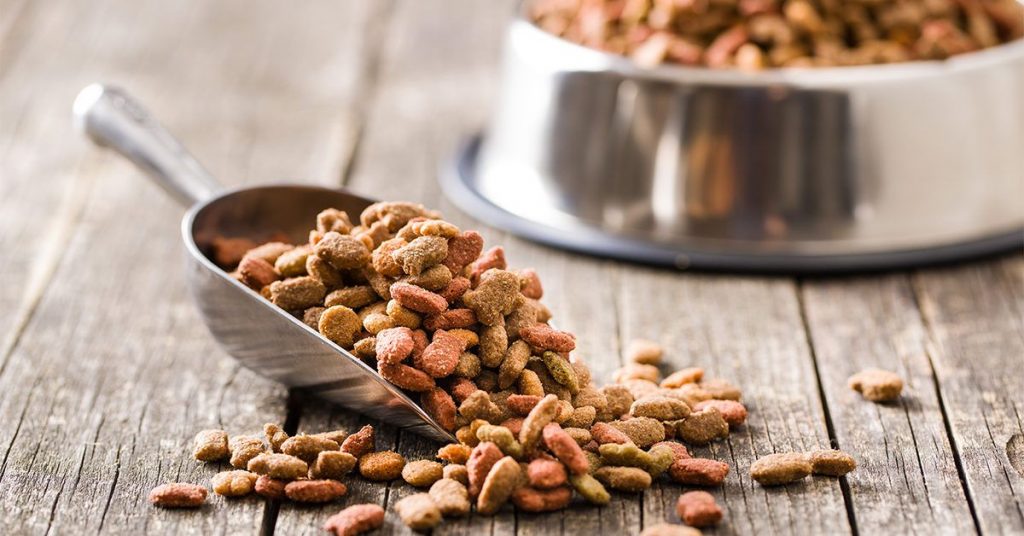 Creating Nutritious and Delicious Homemade Dog Food: A Step-by-Step Guide