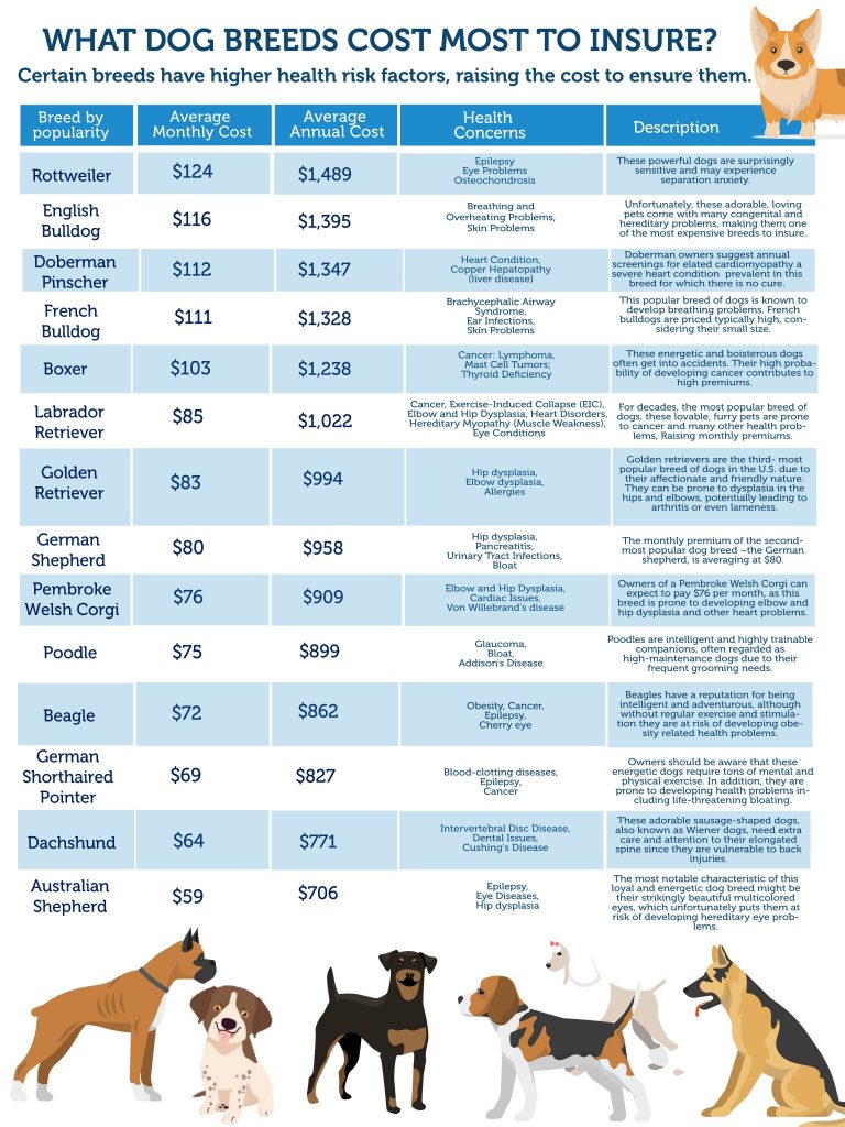 How Much Do Different Dog Breeds Cost?