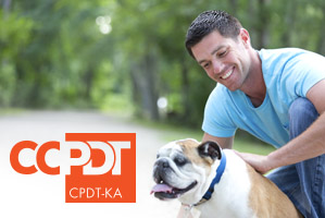 Do You Need Formal Certification to Pursue a Career as a Dog Trainer?