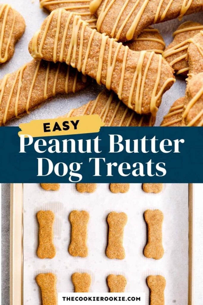 How to Create Delicious Homemade Dog Treats for Your Furry Friend